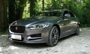 Grauer Jaguar XE im Wald. Trotz der schönen Kulisse gibt es einige Jaguar XE Probleme, die man bedenken sollte.