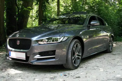 Grauer Jaguar XE im Wald. Trotz der schönen Kulisse gibt es einige Jaguar XE Probleme, die man bedenken sollte.