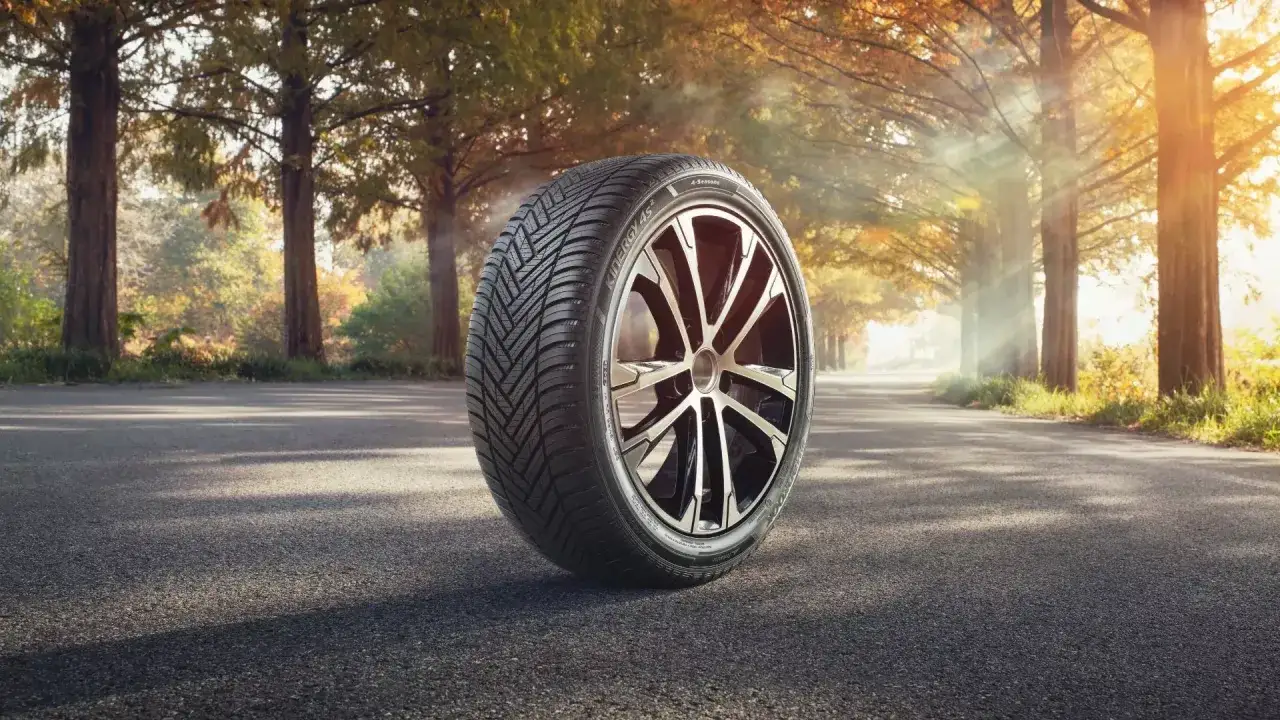 Hankook Kinergy 4S2 Test: Ein Ganzjahresreifen auf einer sonnendurchfluteten Allee im Herbst.